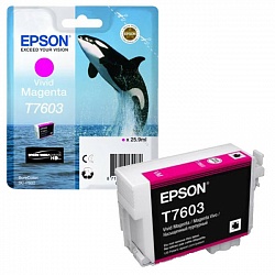 Картридж Epson T7603 пурпурный